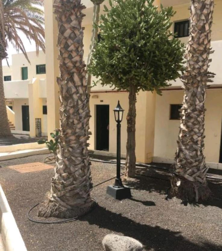 Suri Appartement
